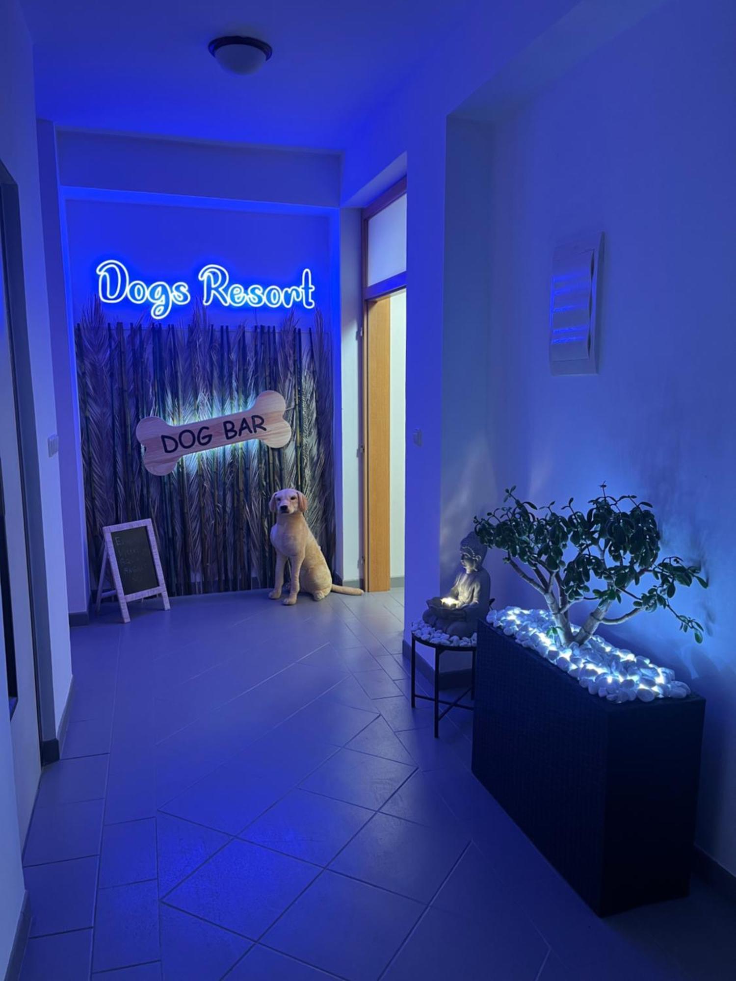 Dogs Resort And Spa Horni Bezdekov Exterior foto